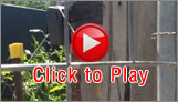Video Play